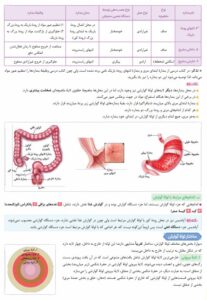 عکس نمونه صفحه داخل کتاب درسنامه زیست شناسی جامع کنکور خیلی سبز