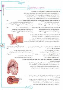 عکس نمونه صفحه داخل کتاب زیست شناسی جامع کنکور تجربی خیلی سبز (جلد اول)