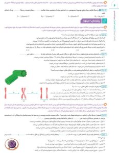 نمونه صفحه داخل کتاب آی کیو زیست 2 پایه یازدهم تجربی انتشارات گاج
