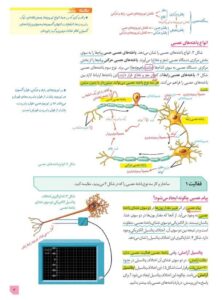 نمونه صفحه داخل کتاب درسی زیر ذره بین زیست شناسی یازدهم انتشارات کاپ