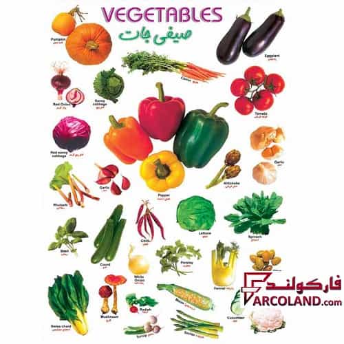 برچسب آموزشی صیفی جات