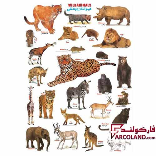 برچسب آموزشی مدل حیوانات وحشی