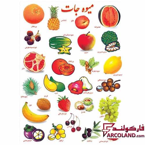 برچسب آموزشی مدل میوه ها