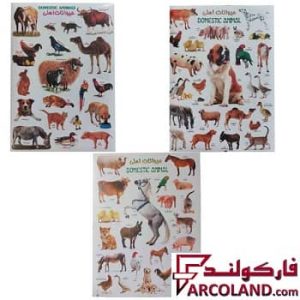 خرید آنلاین و قیمت برچسب آموزشی (Stiker)