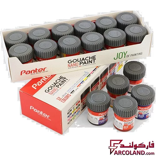 خرید اینترنتی و قیمت گواش 12 رنگ پنتر مدل نانو پوشرنگ کد GP711