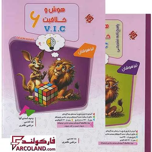 بسته دو جلدی کتاب هوش و خلاقیت V.I.C ششم مرشد مبتکران