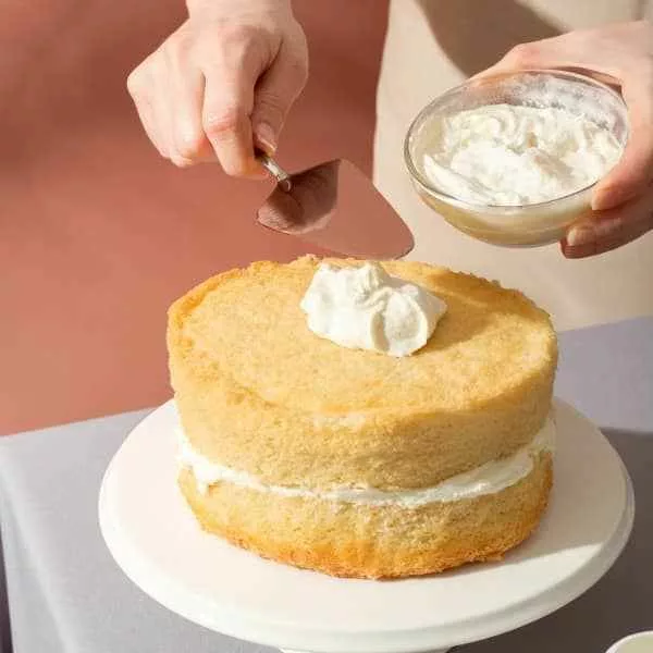 jaygozin-shir-cake_11zon