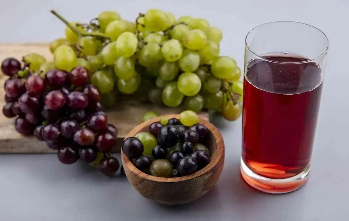 verjuices-recipe_11zon