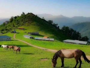 بهترین زمان سفر به اولسبلنگاه ۱۴۰۴؛ از گل‌های بهاری تا مه اسرارآمیز پاییزی در قلب گیلان!