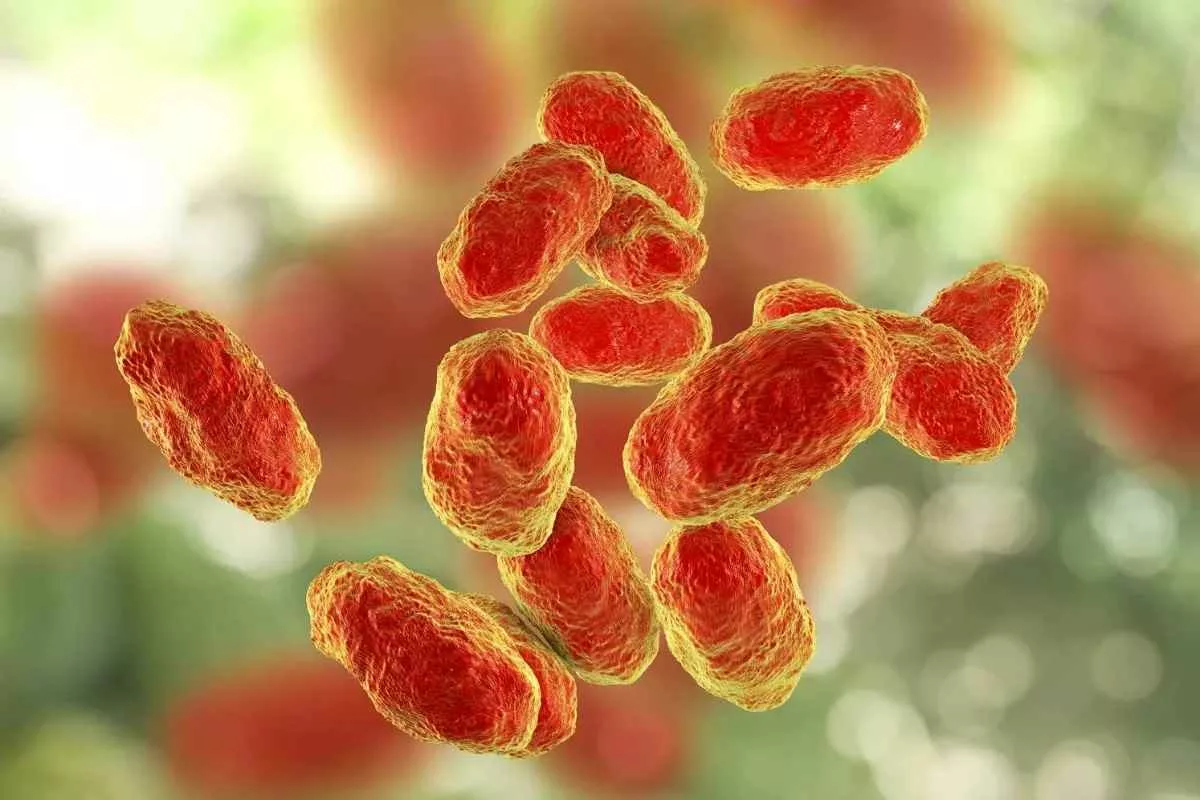 deadliest-disease-never-have-heard-of-it_11zon