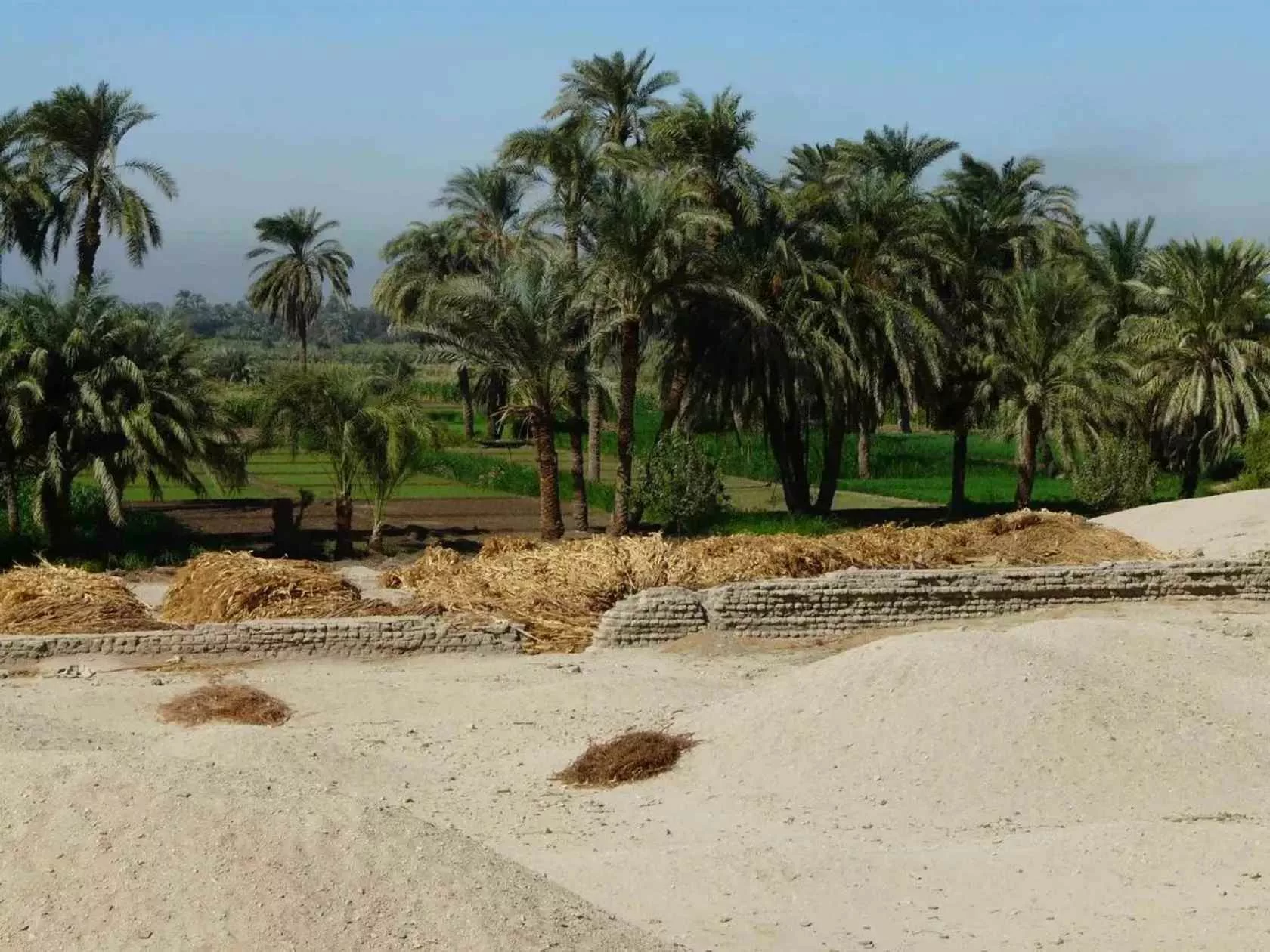 did-plague-destroy-akhetaten-1_11zon