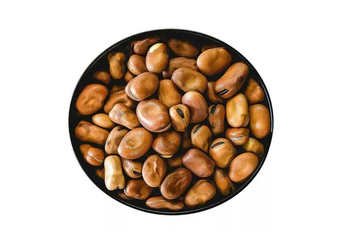 faba-bean_11zon