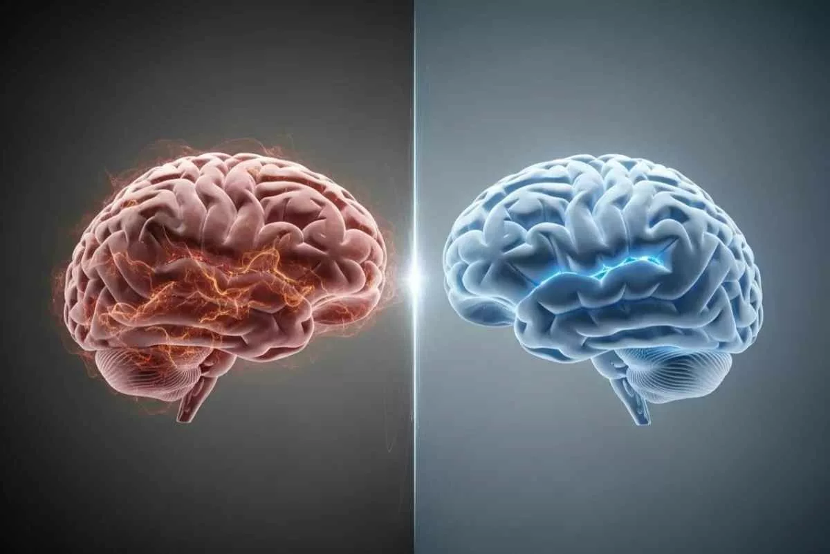 mens-brains-shrink-faster-alzheimers_11zon