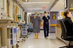 شکست پیوند تاریخی؛ بدن مرد آمریکایی پس از ۹ ماه کلیه خوک را پس زد