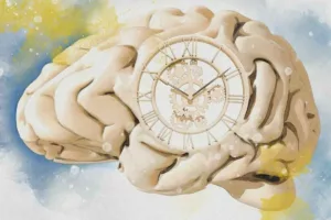 راز سرعت گذر زمان در بزرگسالی؛ چرا با افزایش سن، عمرمان کوتاه‌تر حس می‌شود؟