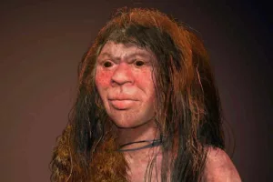 راز ژنتیکی تازه در تاریخ بشر | دنیسووایی‌ها با انسان‌های مرموز ناشناخته پیوند داشته‌اند!