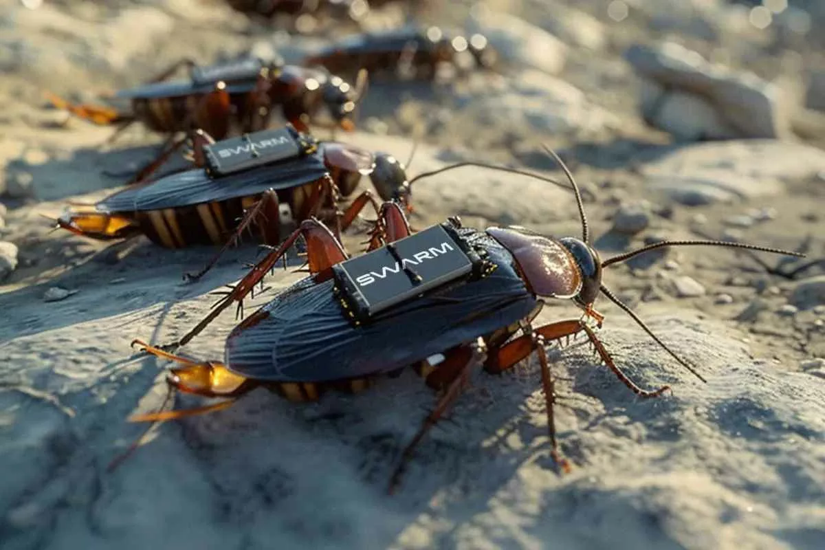 cyborg-cockroach-swarm-germany_11zon