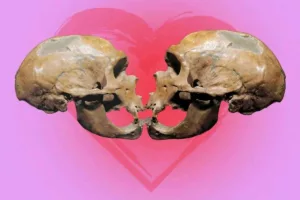 بوسه به قدمت تکامل؛ میراث مشترک انسان، نئاندرتال‌ها و شامپانزه‌ها در ژرفای تاریخ عشق