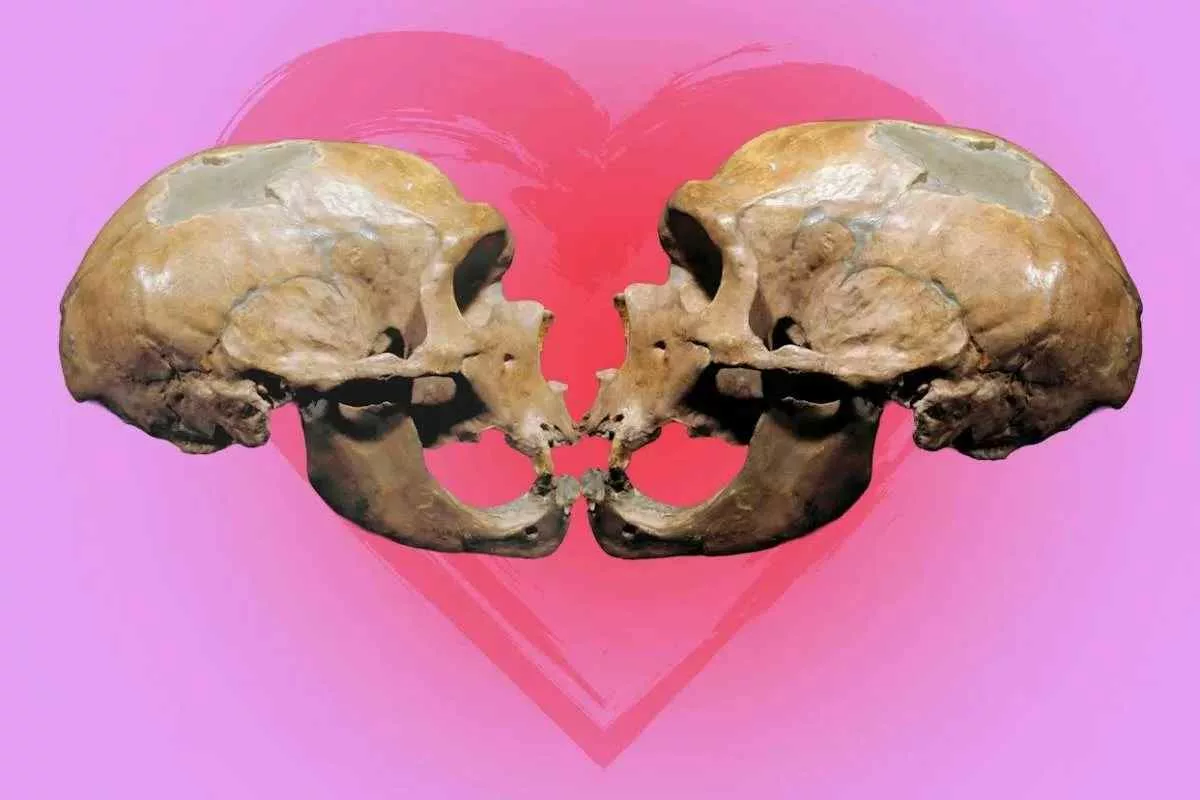 evolutionary-history-of-kissing_11zon