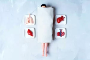 راز جاودانگی در آزمایشگاه‌ها: آیا پیوند اعضا می‌تواند انسان را واقعاً جوان کند؟