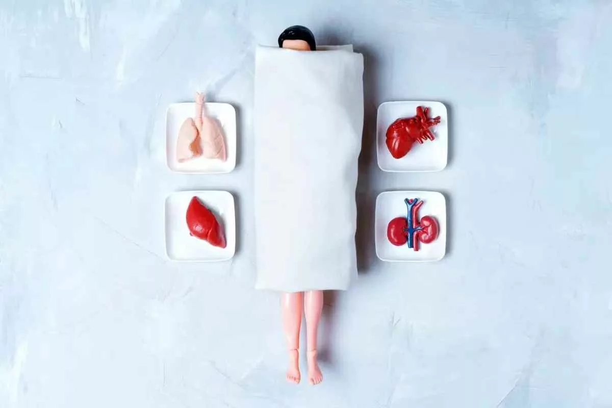 history chasing immortality through transplants 11zon