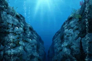 راز زندگی در تاریک‌ترین اعماق زمین؛ موجودات عجیب ماریانا چگونه در سمی‌ترین نقطه سیاره زنده مانده‌اند؟