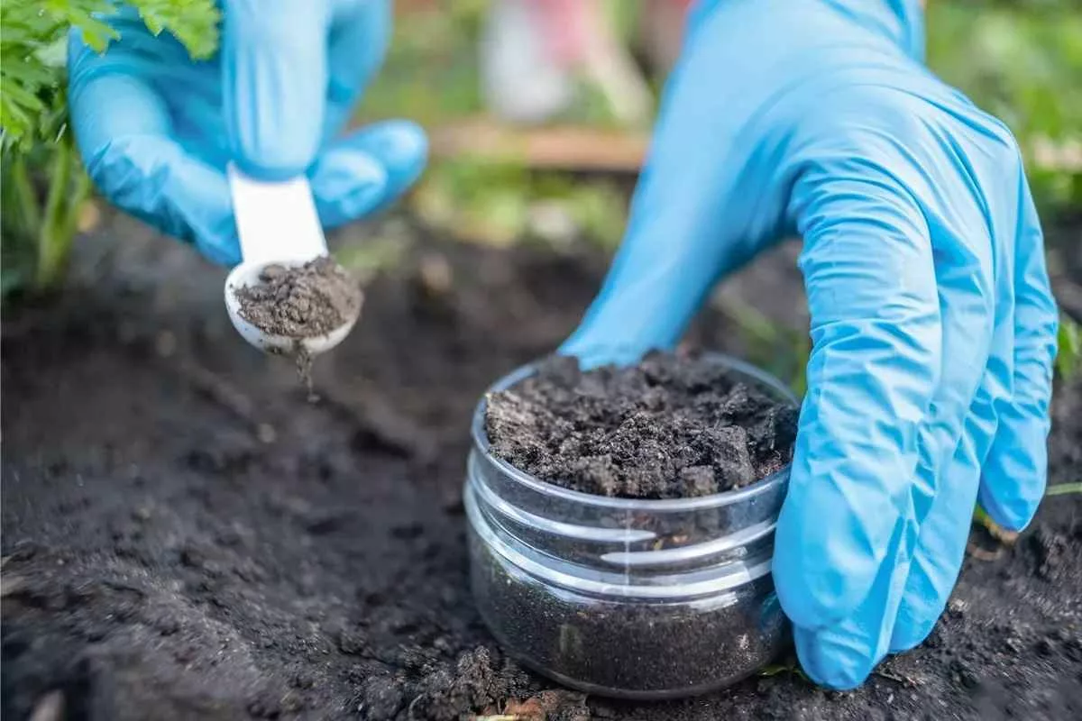 new-antibiotic-that-discovered-soil-bacteria_11zon