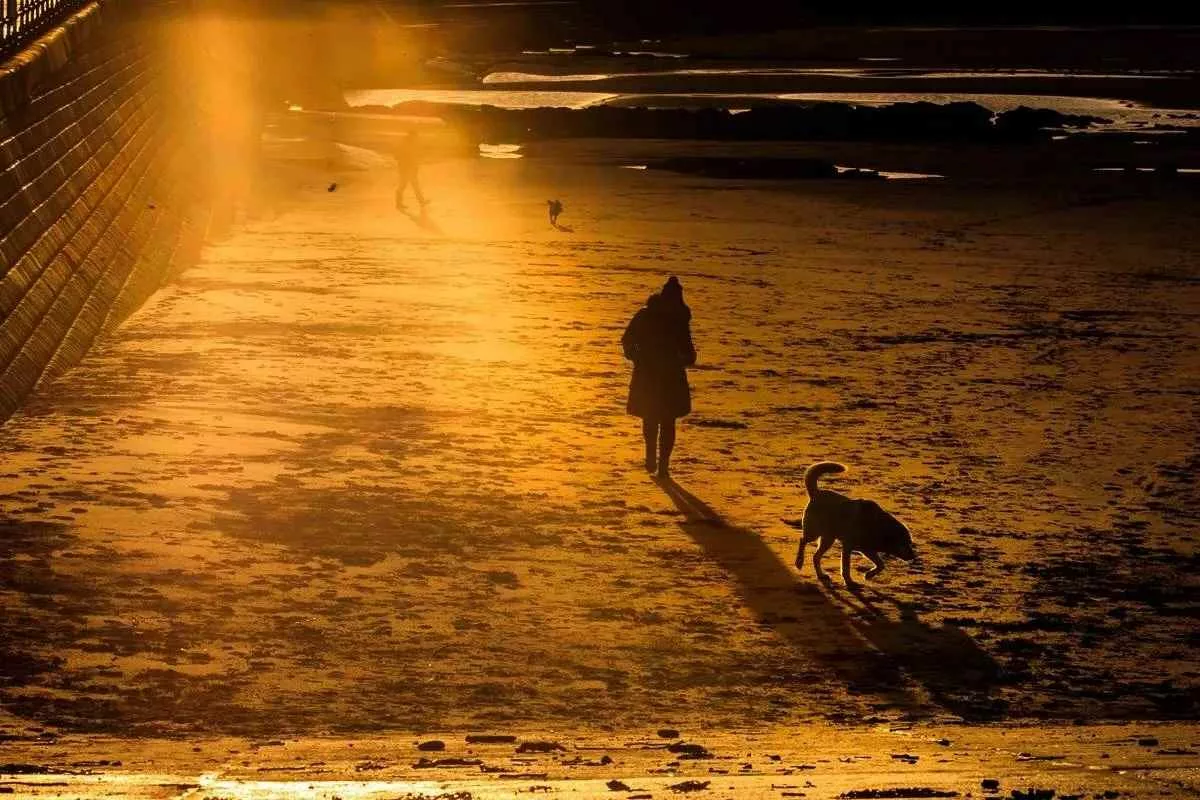 science-of-seasonal-affective-disorder_11zon