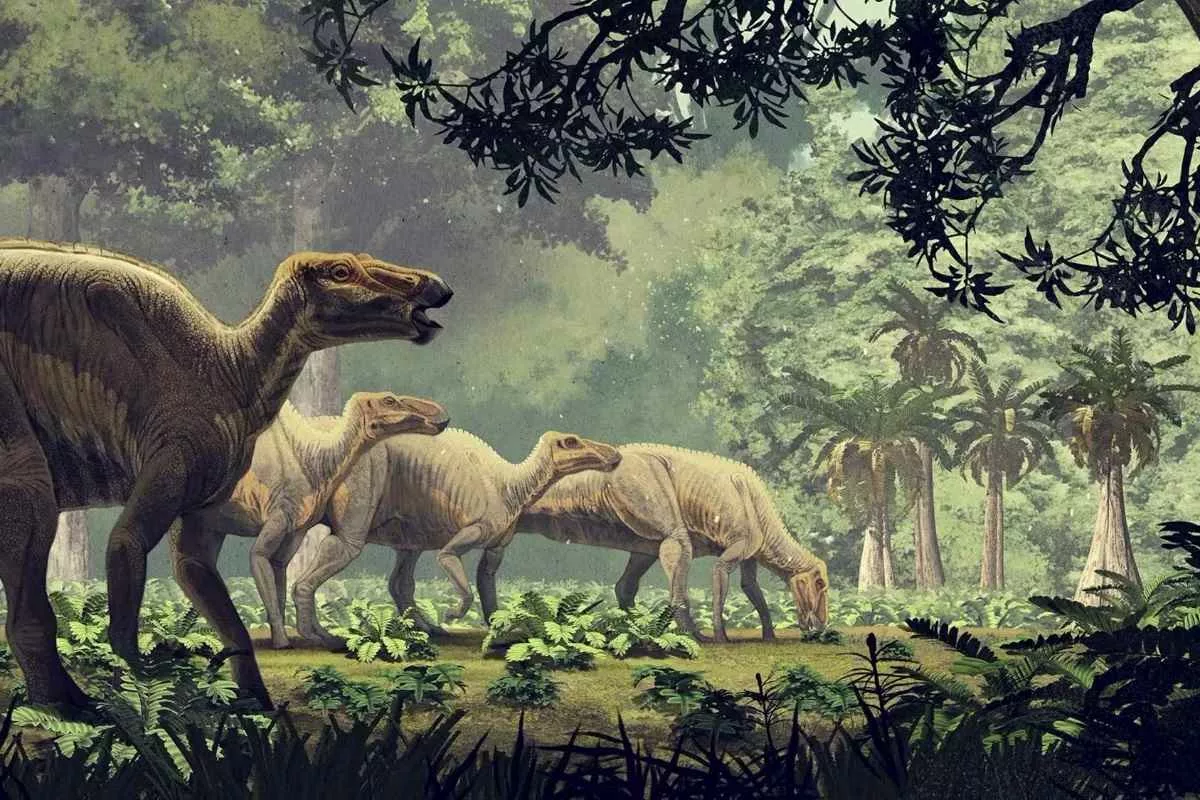 way-to-tell-female-dinosaurs-from-males_11zon