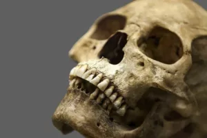 راز پنهان در لبخندمان؛ چرا دندان سخت‌تر از استخوان است اما استخوان نیست؟