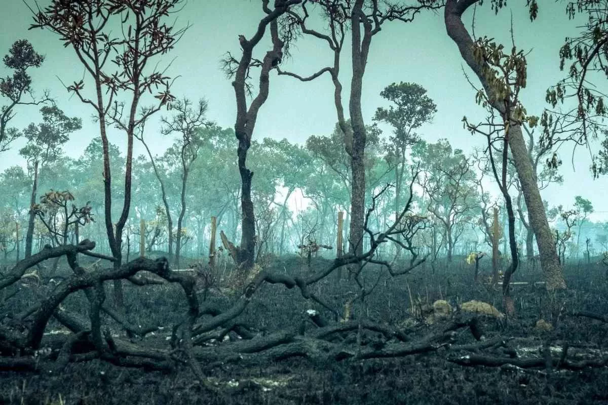 amazon-rainforest-transitioning-hypertropical-climate_11zon