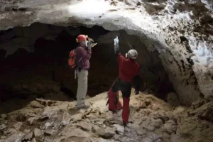 راز عربستان سبز باستان؛ چگونه این سرزمین ۱۰۰هزار سال پیش یکی از پررونق‌ترین بهشت‌های انسان و حیوان بود؟