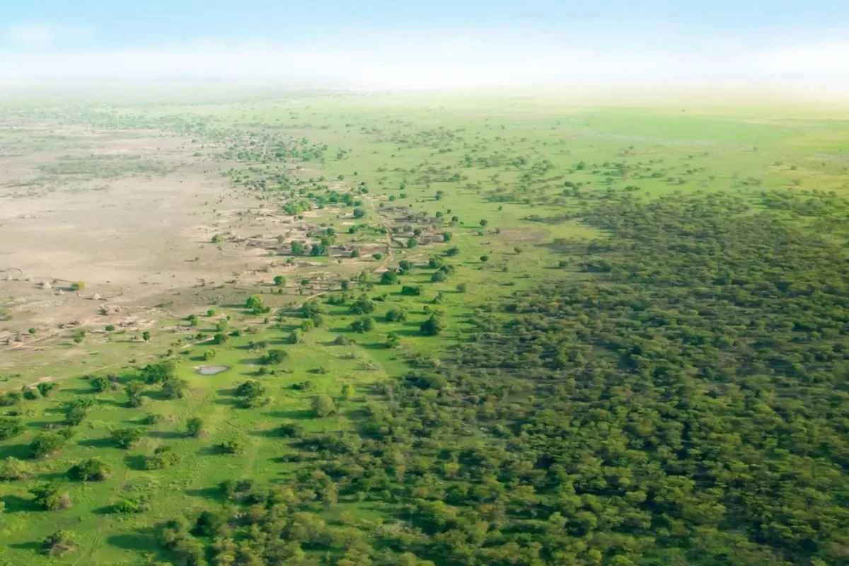 china-planted-trees-changed-water-distribution_11zon