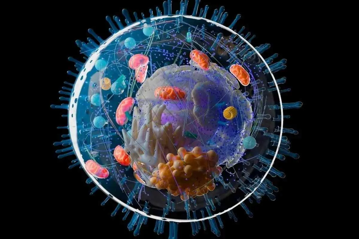 complex-life-billion-years-older_11zon