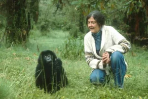 دایان فوسی؛ دانشمندی که برای نجات گوریل‌ها تا پای جان ایستاد و به شکلی مرموز به قتل رسید