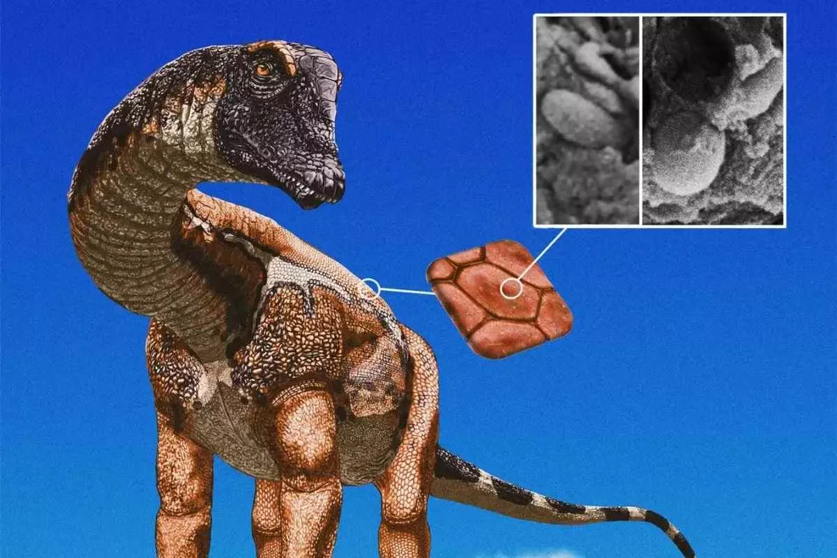 diplodocus-colourful-as-birds_11zon