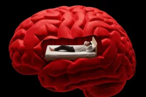 راز تنبلی فاش شد؛ آیا همه‌چیز از مغز فرمان می‌گیرد؟