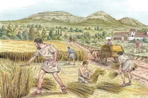 غلات، مالیات و تولد قدرت؛ چگونه دانه‌ها پایه‌گذار نخستین دولت‌های تاریخ شدند؟