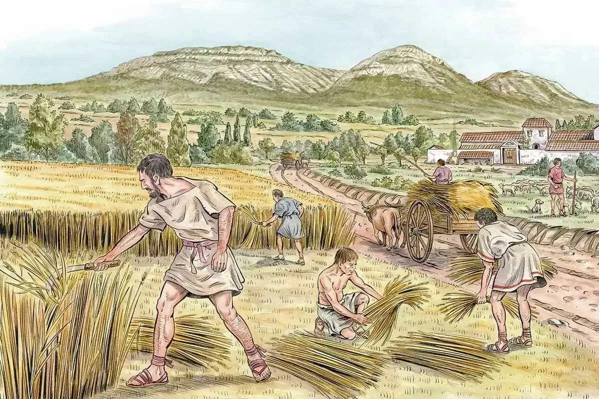 easily-taxed-grains-crucial-first-states_11zon