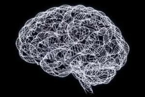 کشفی بزرگ در ژنتیک؛ اختلالات روانی مختلف یک ریشه مشترک دارند