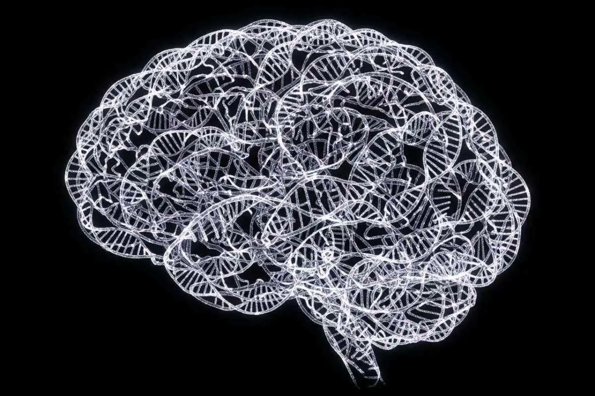 genetic-map-mental-illness-revealed_11zon