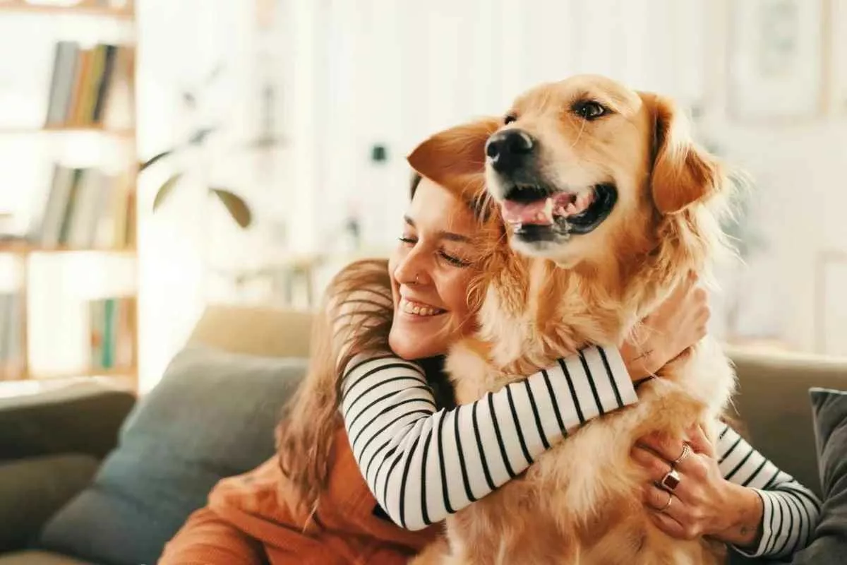 golden-retriever-and-human-behaviour-linked-genes_11zon