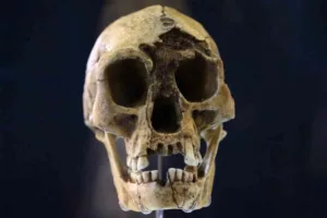 راز فروپاشی هابیت‌ها فاش شد؛ خشکسالی‌های مرگبار و برخورد با انسان خردمند