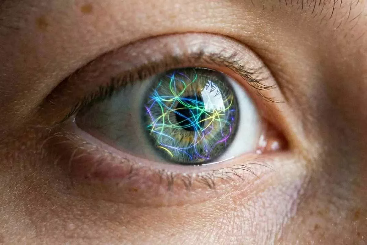 humans-could-have-33-senses_11zon