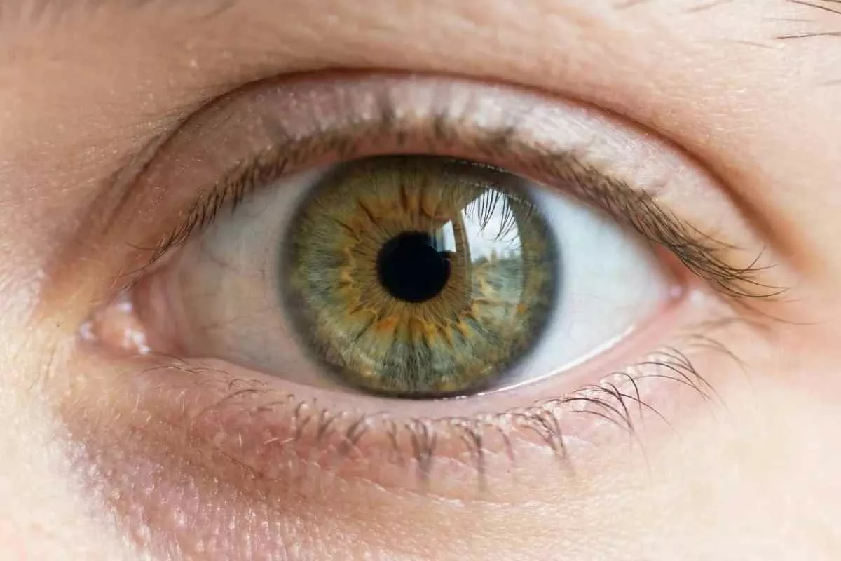 lazy-eye-treatment-brain-reset_11zon