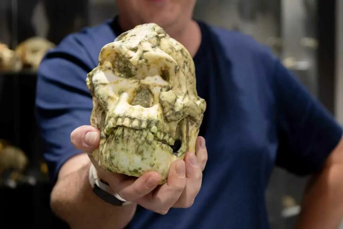 little-foot-fossil-new-human-ancestor_11zon