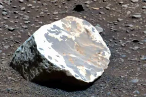 شوک مریخی: کشف سنگ‌هایی که حقیقت پنهان را فاش کردند؛ مریخ روزی جنگل‌های گرمسیری داشته است!