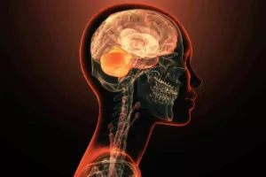 انقلاب ژنتیک: کشف ژنی که به‌تنهایی ماشه‌ی یک بیماری روانی را می‌کشد!