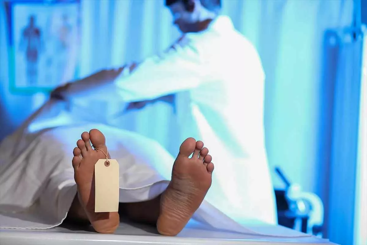 startup-human-remains_11zon