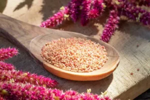 آمارانت چیست؟ معرفی دانه‌ای مغذی و پرپروتئین که به کاهش وزن کمک می‌کند